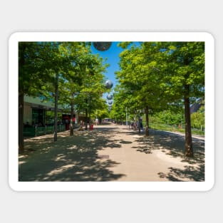 Blue skies,trees and shades at the Olympic park Sticker